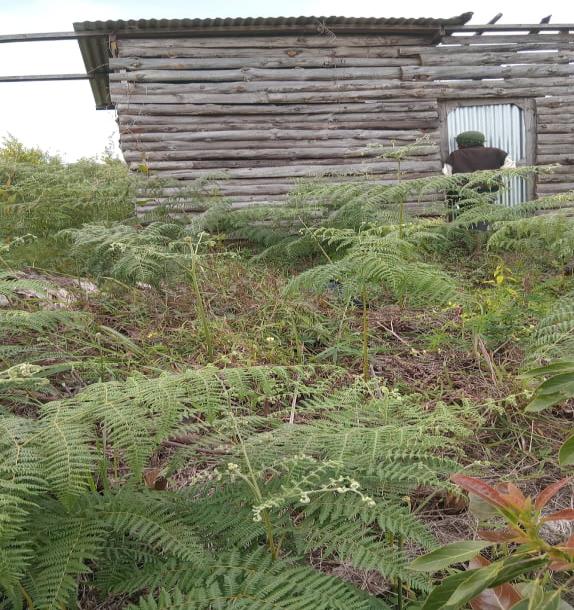 Intercity Property Hub: A 50-Acre Farm for Sale ~ Njombe.-6