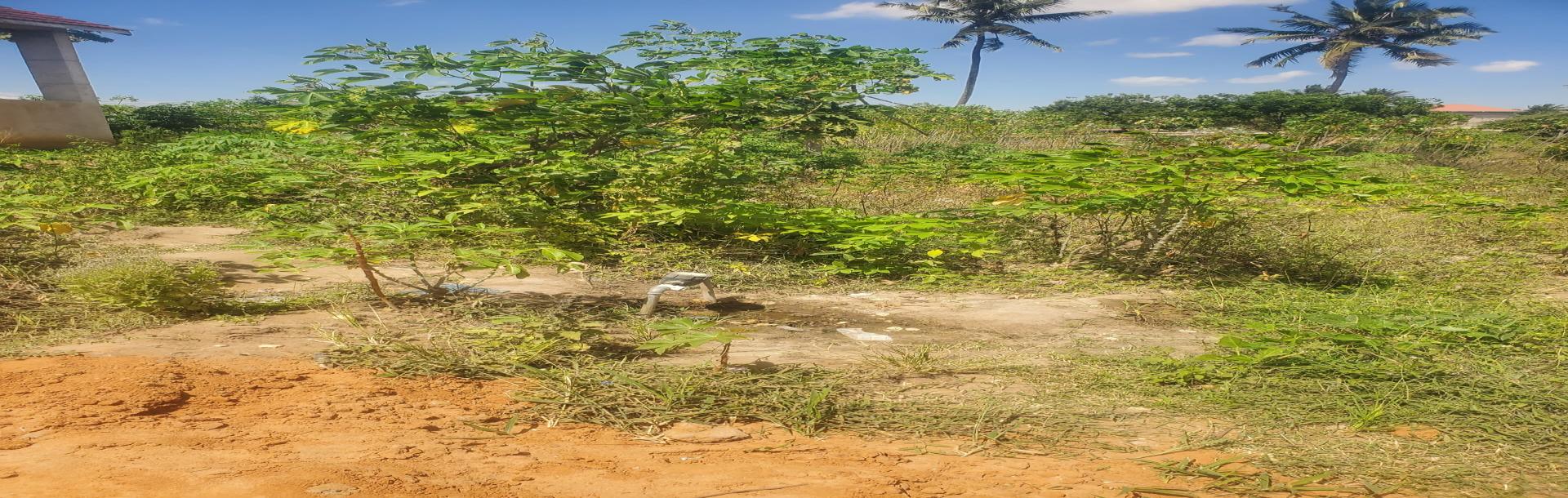 Intercity Property Hub: A Plot for Sale, Goba Muungano.-3