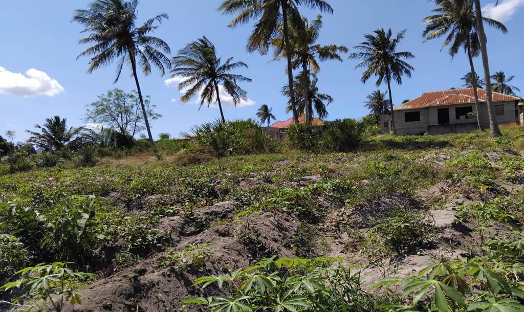 Intercity Property Hub, A Plot For Sale-1