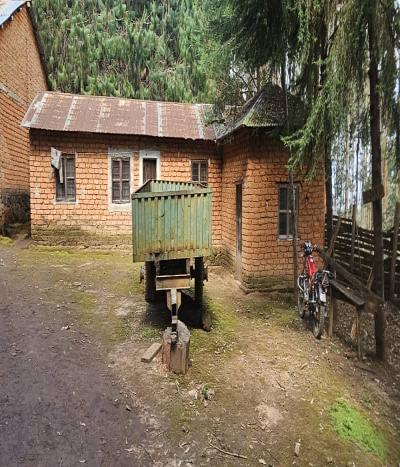 Intercity Property Hub: A 119-acre Tea Farm for Sale ~ Mufindi.