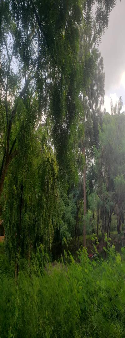 Intercity Property Hub: A Plot for Rent ~ Makongo Juu.