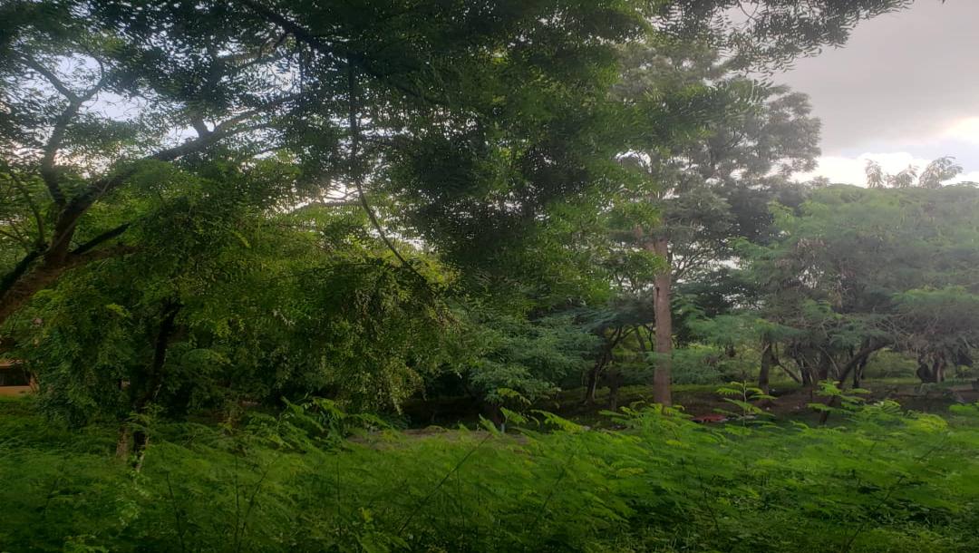 Intercity Property Hub: A Plot for Rent ~ Makongo Juu.-2