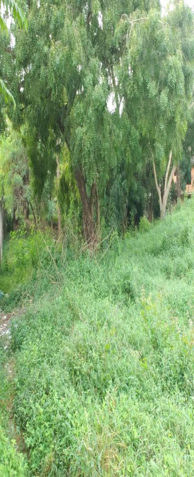 Intercity Property Hub: A Plot for Rent ~ Makongo Juu.