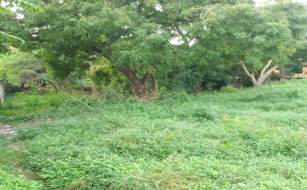 Intercity Property Hub: A Plot for Rent ~ Makongo Juu.-5