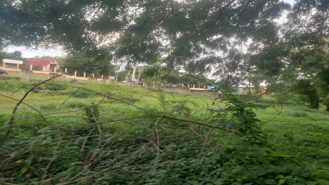 Intercity Property Hub: A Plot for Rent ~ Makongo Juu.-7