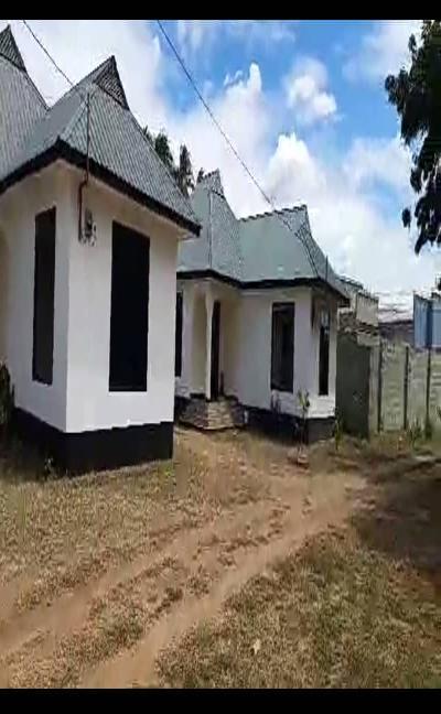 Intercity Property Hub: Shadad Hamis