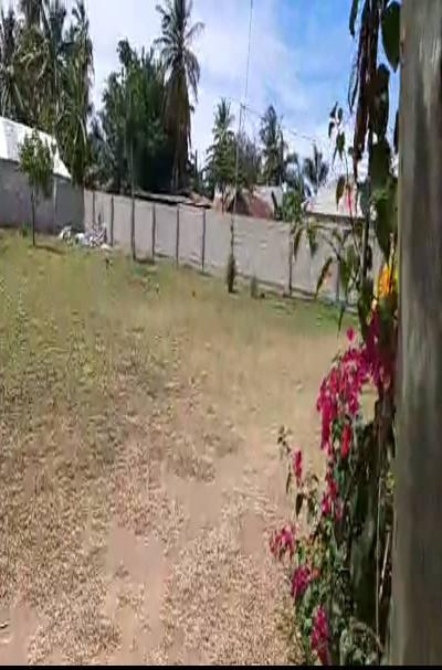 Intercity Property Hub: Shadad Hamis