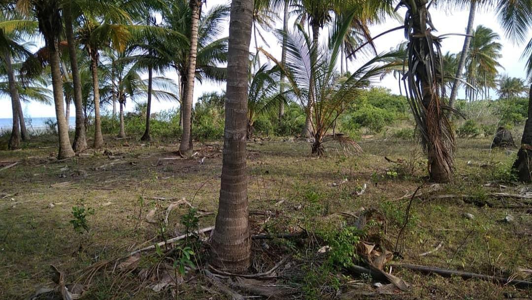 IPH: A-40-acre Farm for Sale, Pangani Tanga.-0