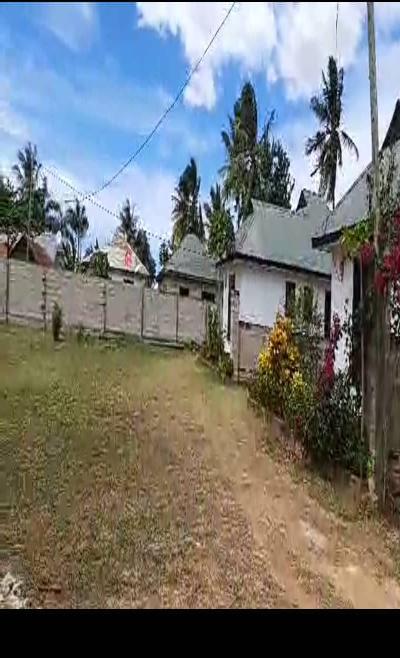 Intercity Property Hub: Shadad Hamis