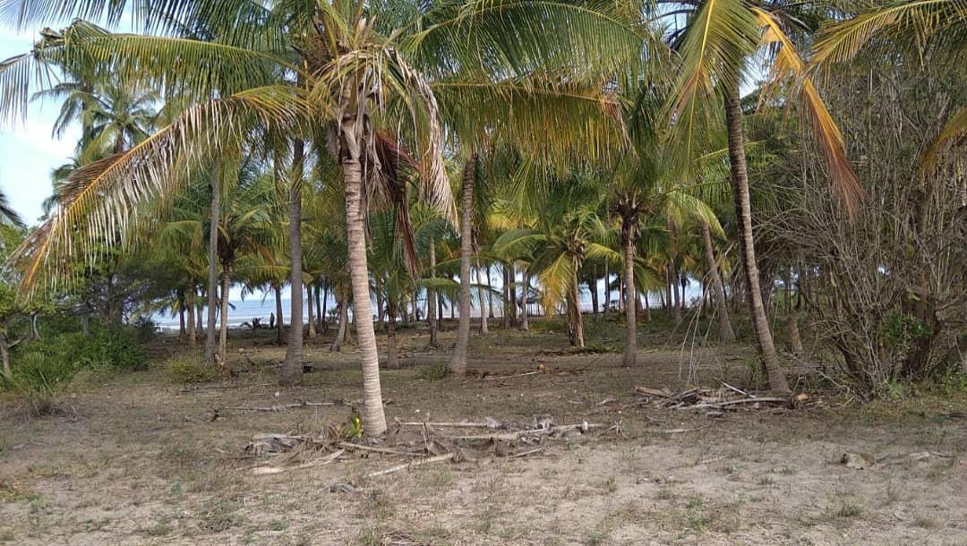 IPH: A-40-acre Farm for Sale, Pangani Tanga.-3