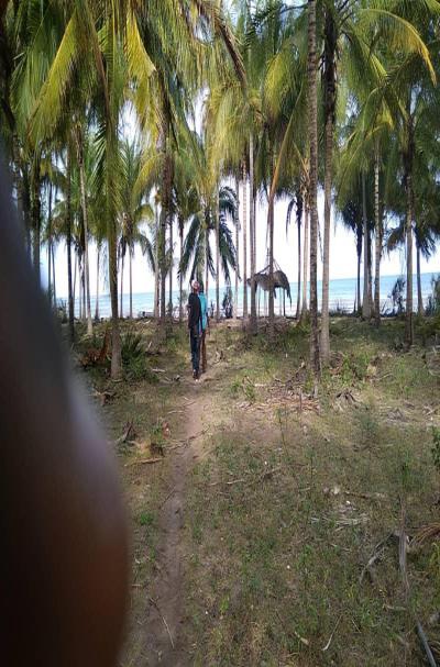 IPH: A-40-acre Farm for Sale, Pangani Tanga.