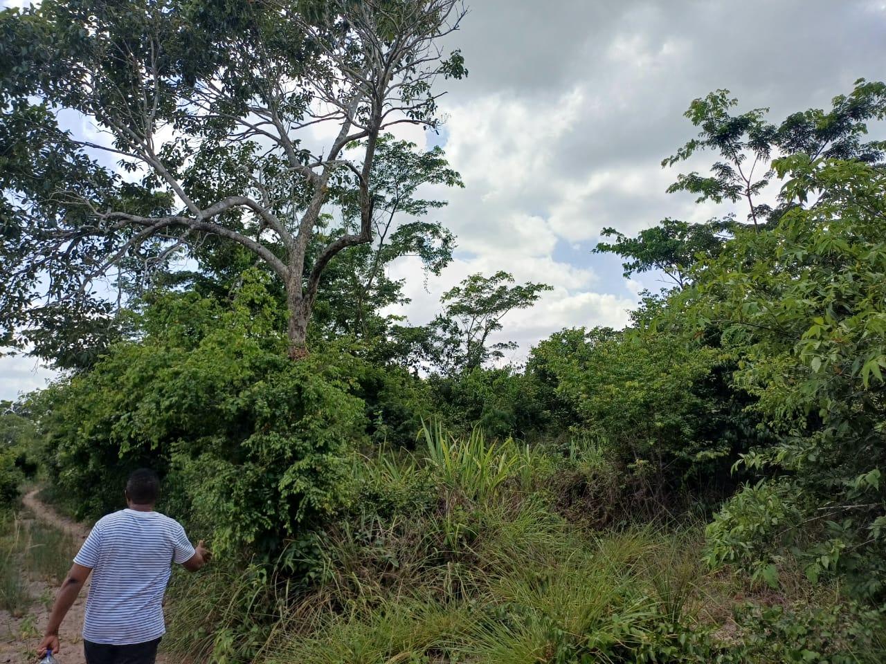 IPH: A 218 Acres Farm for Sale, Mtamba Village, Kisarawe DC ,Coastal Region.