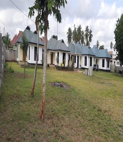 Intercity Property Hub: Shadad Hamis