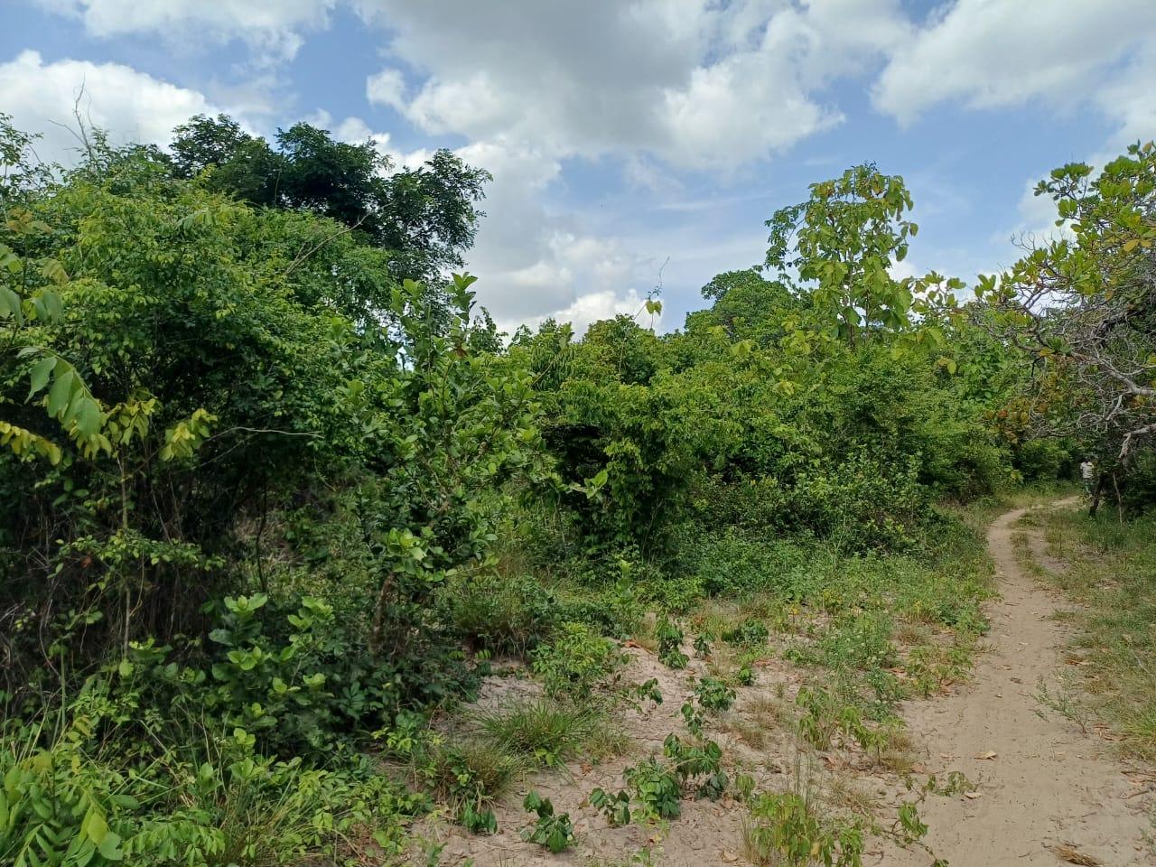 IPH: A 218 Acres Farm for Sale, Mtamba Village, Kisarawe DC ,Coastal Region.