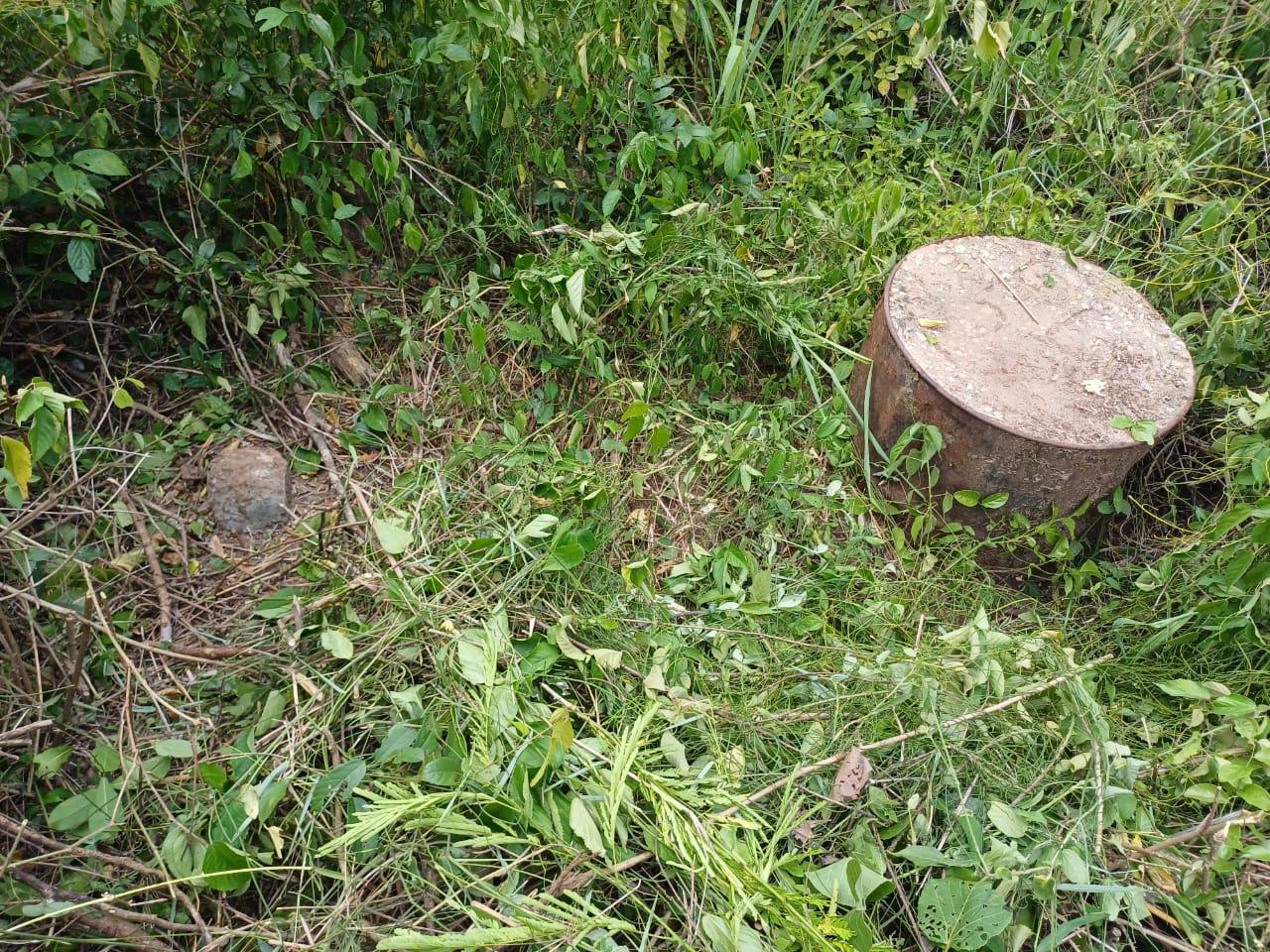 IPH: A 218 Acres Farm for Sale, Mtamba Village, Kisarawe DC ,Coastal Region.