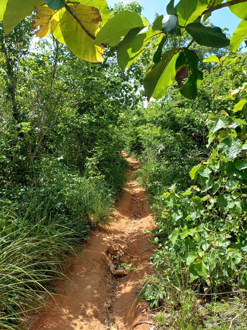 IPH: A 218 Acres Farm for Sale, Mtamba Village, Kisarawe DC ,Coastal Region.