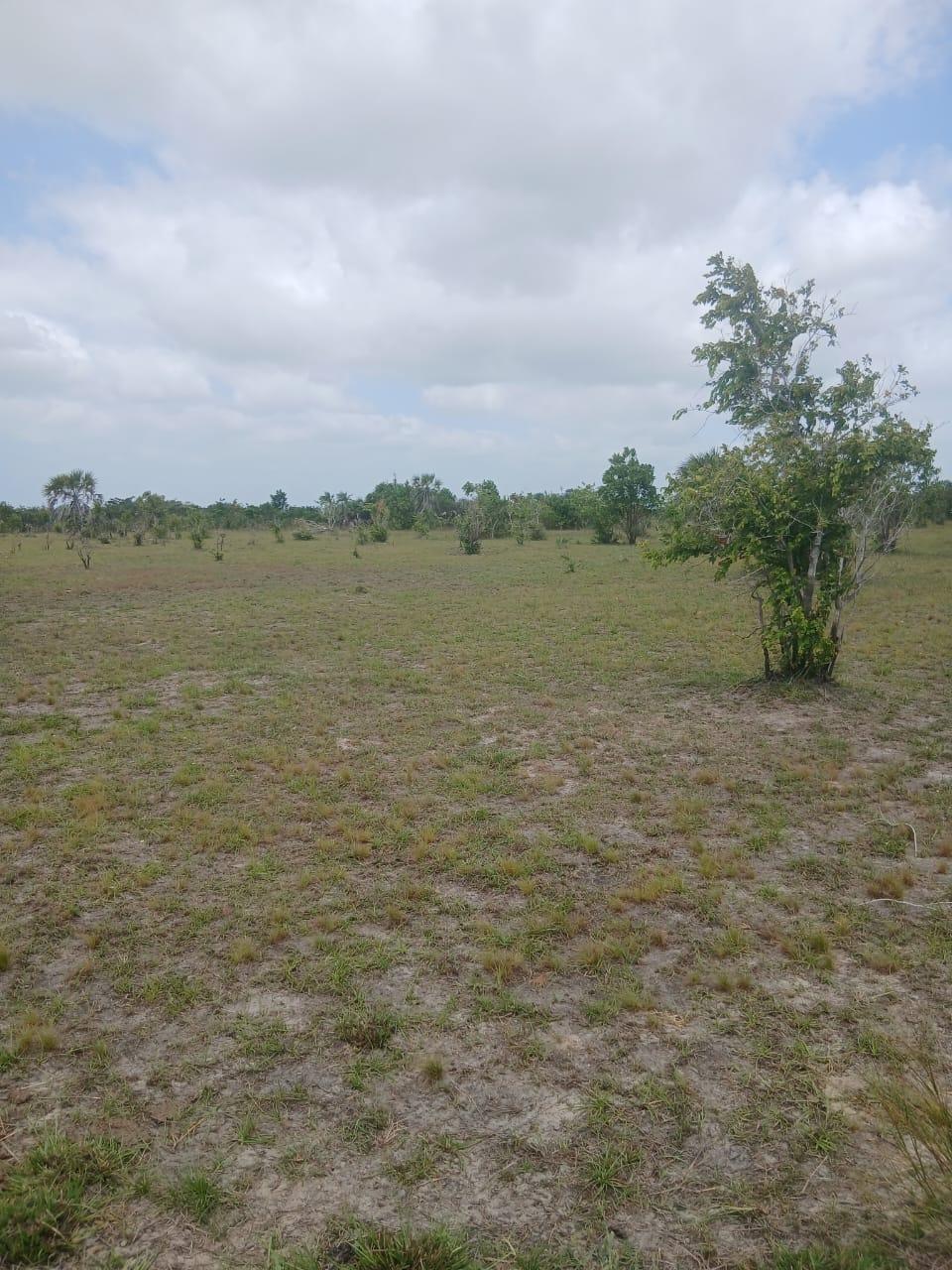 IPH: A 150 Acres Farm for Sale, Shungubweni. Mkuranga DC, Coastal Region.
