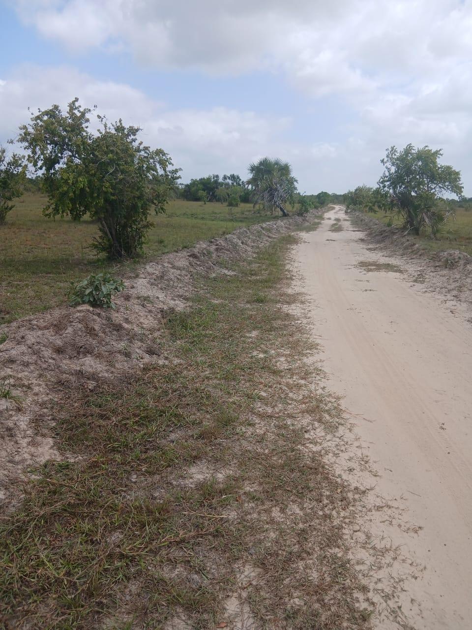 IPH: A 150 Acres Farm for Sale, Shungubweni. Mkuranga DC, Coastal Region.
