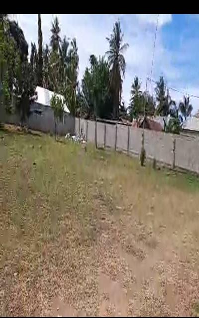 Intercity Property Hub: Shadad Hamis