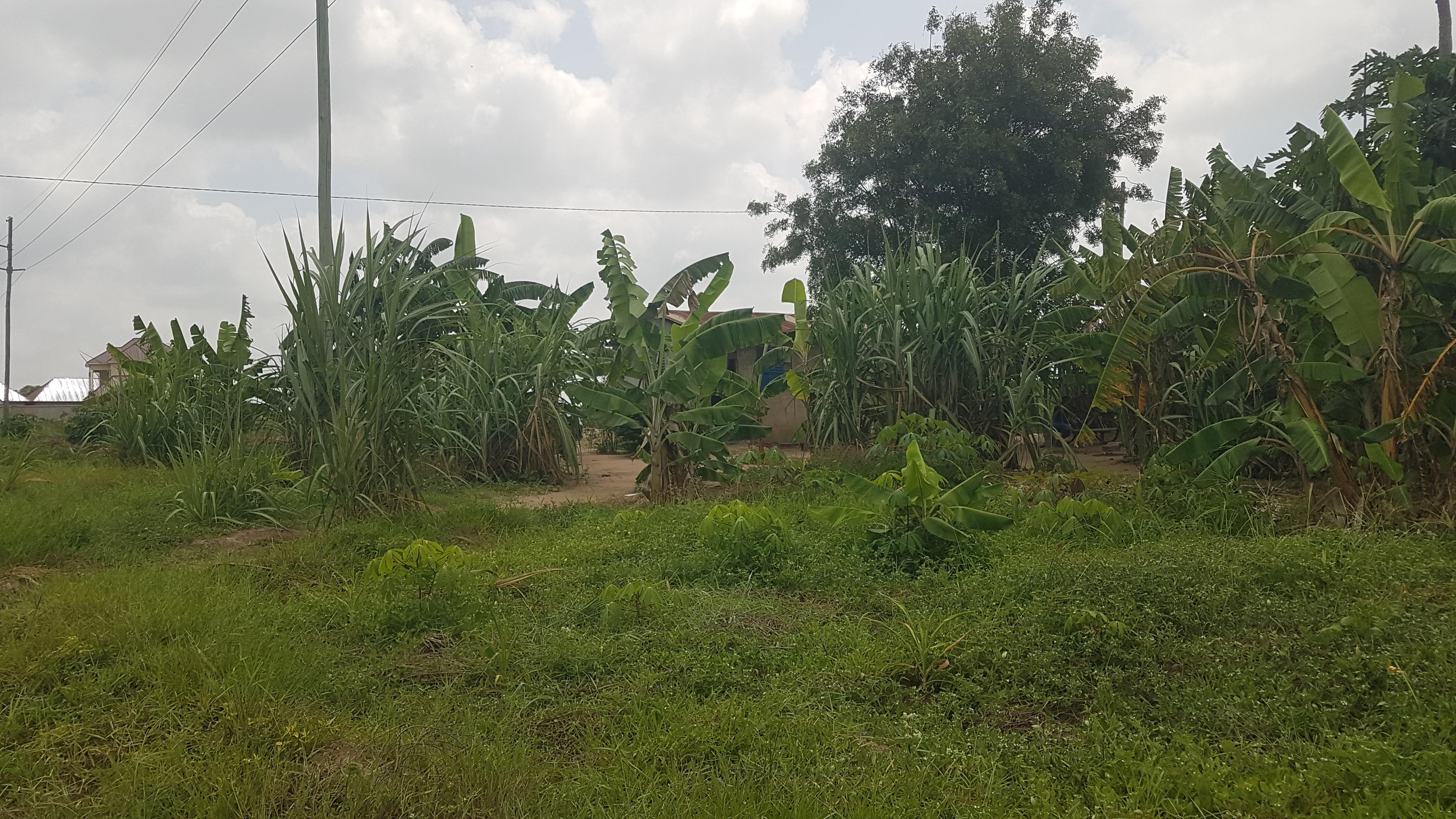 IPH: A Plot for Sale, Vikawe Kibaha, Pwani.