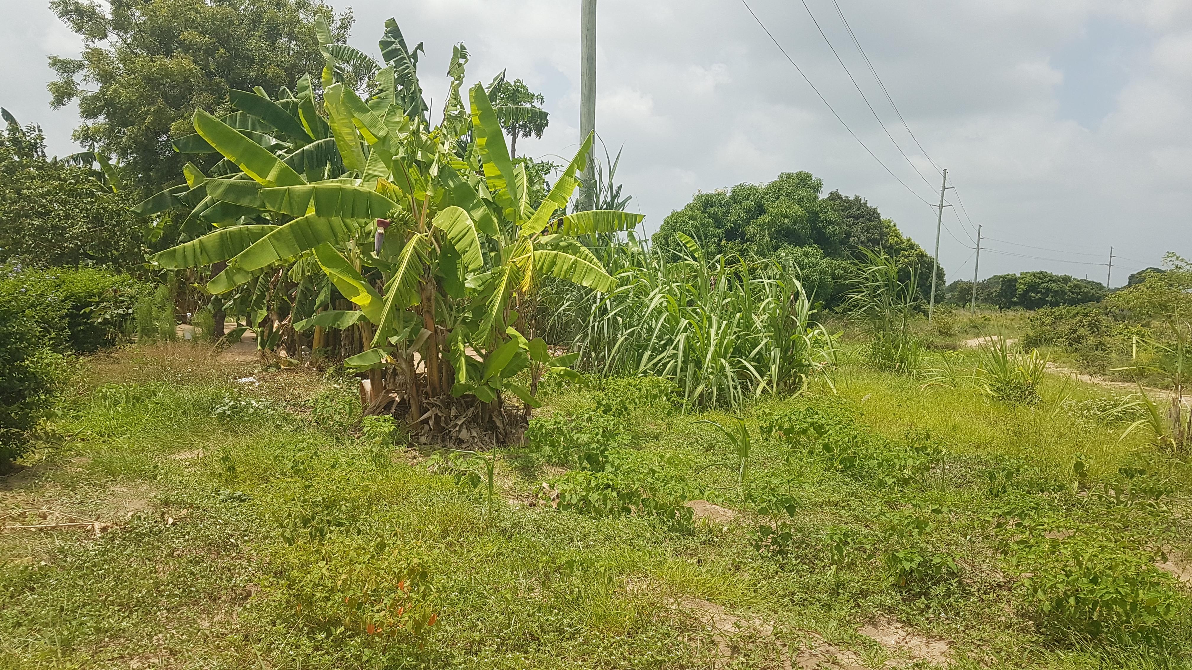 IPH: A Plot for Sale, Vikawe Kibaha, Pwani.