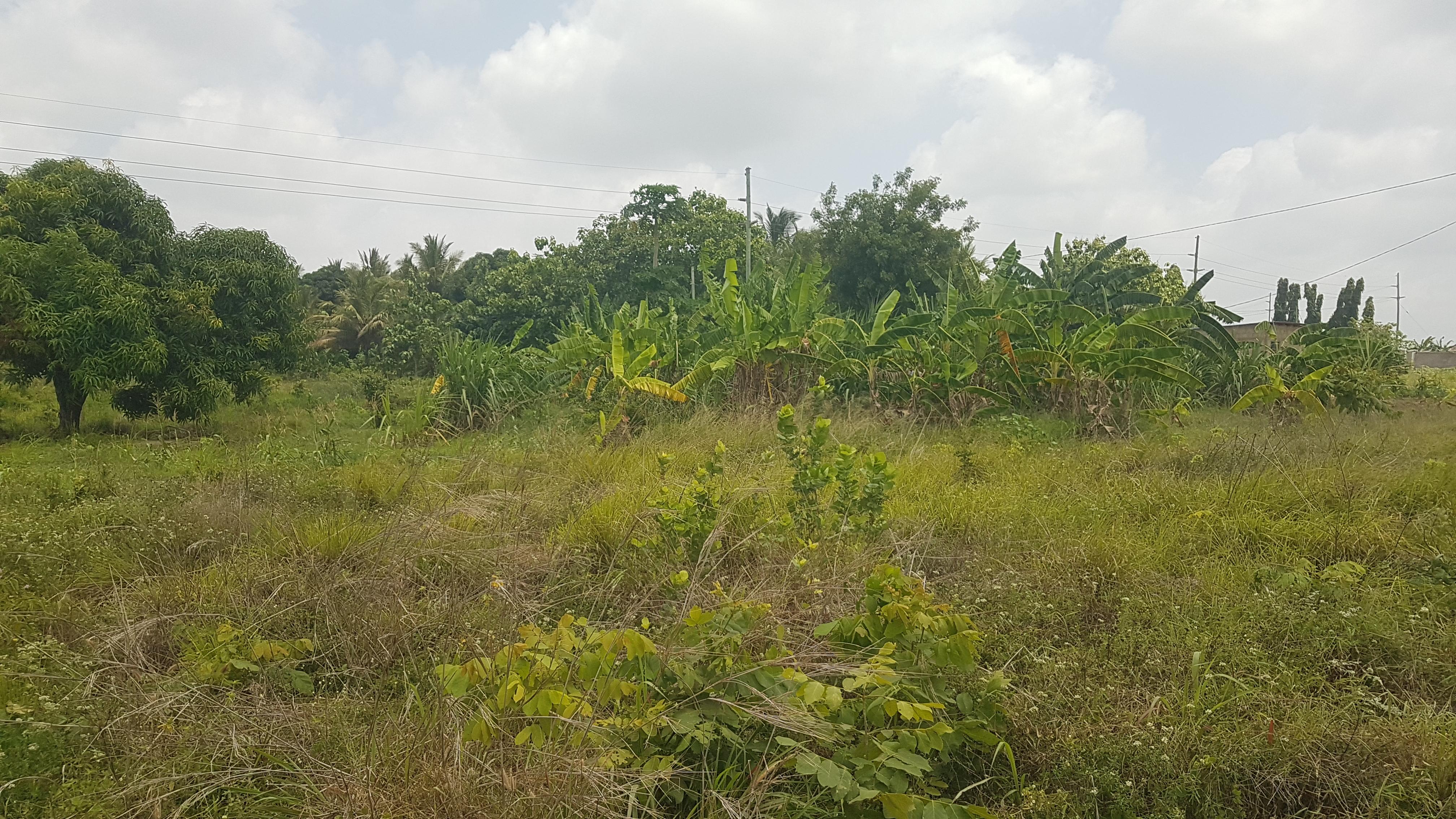 IPH: A Plot for Sale, Vikawe Kibaha, Pwani.