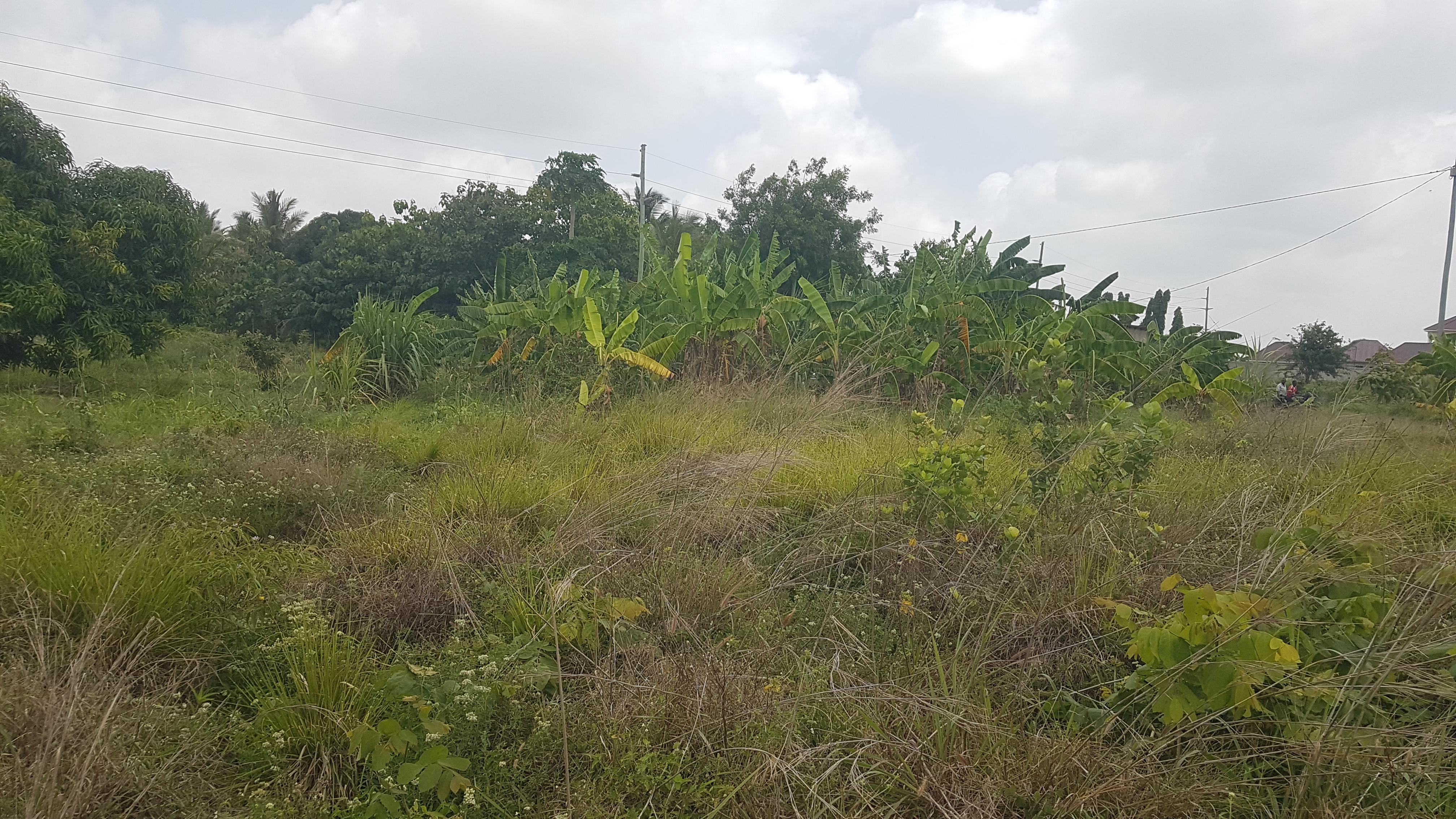 IPH: A Plot for Sale, Vikawe Kibaha, Pwani.