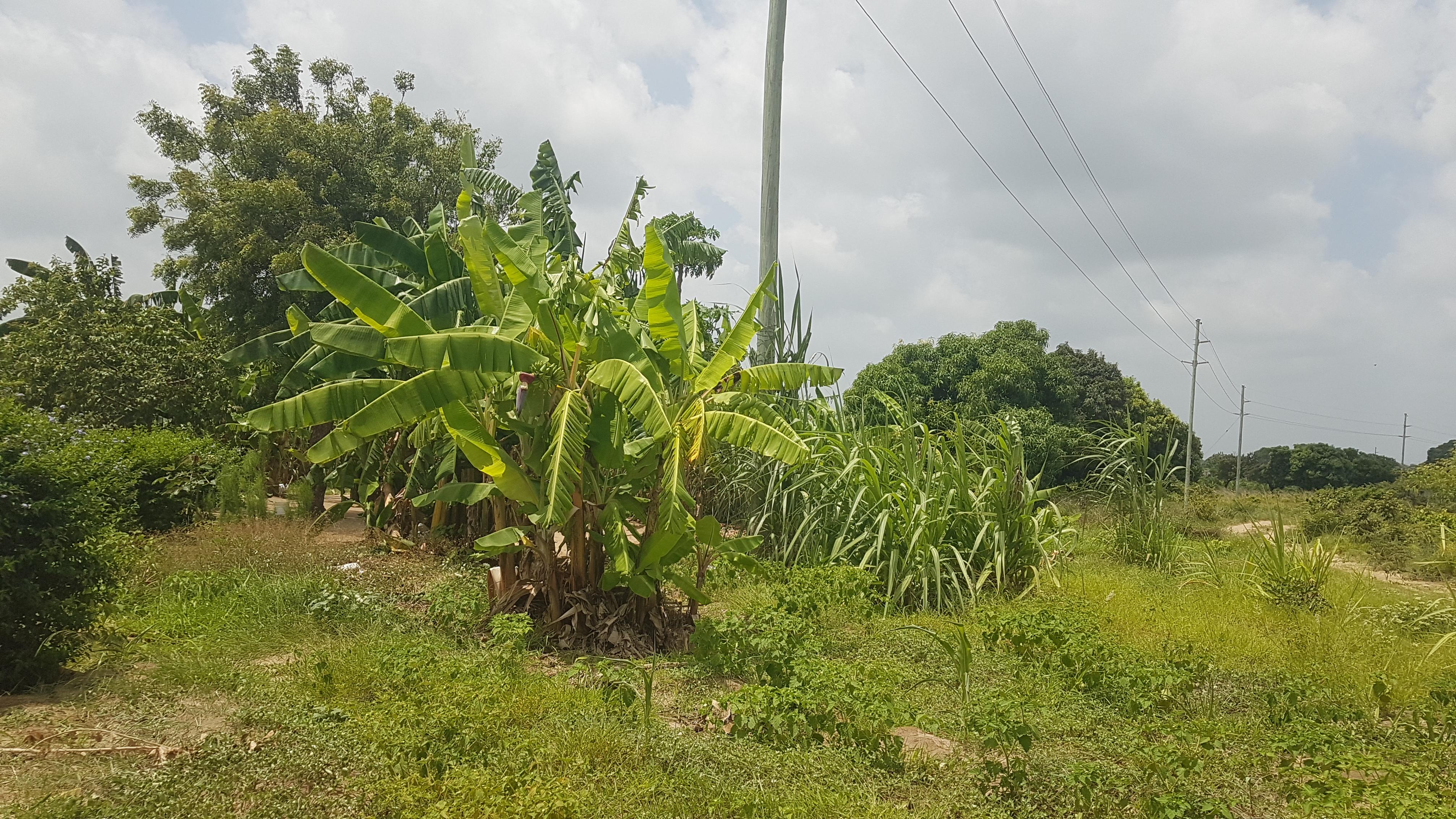 IPH: A Plot for Sale, Vikawe Kibaha, Pwani