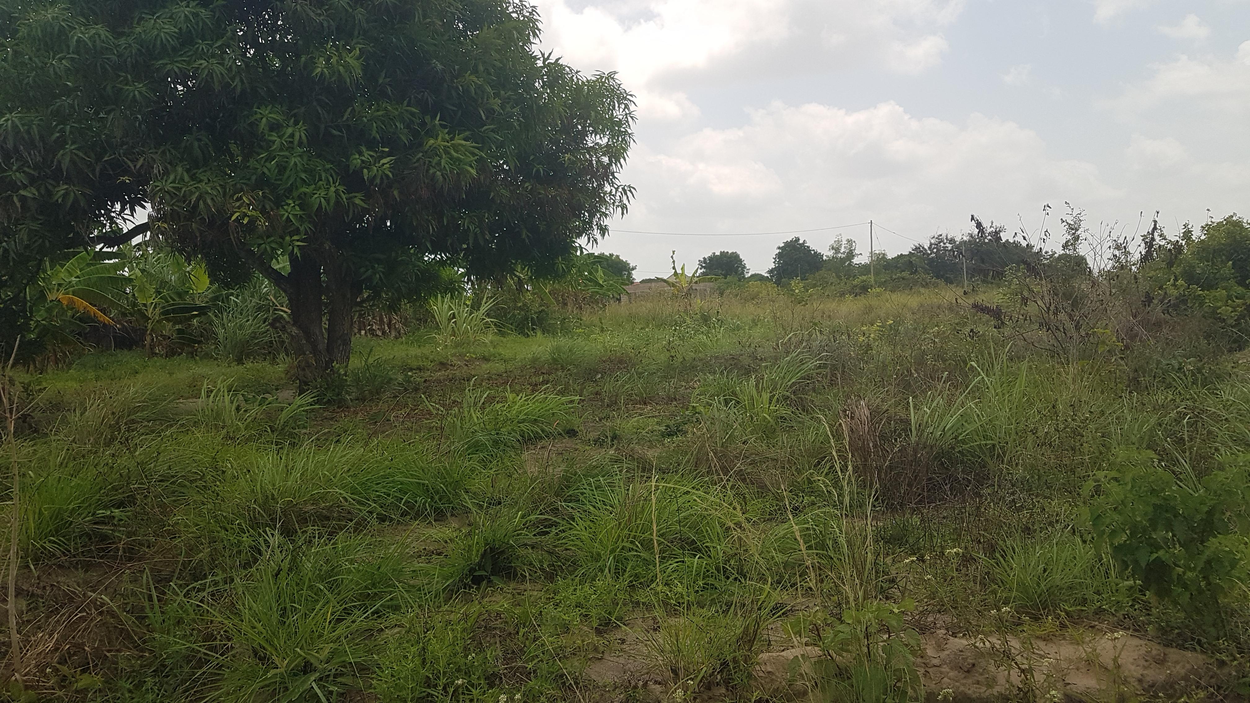 IPH: A Plot for Sale, Vikawe Kibaha, Pwani