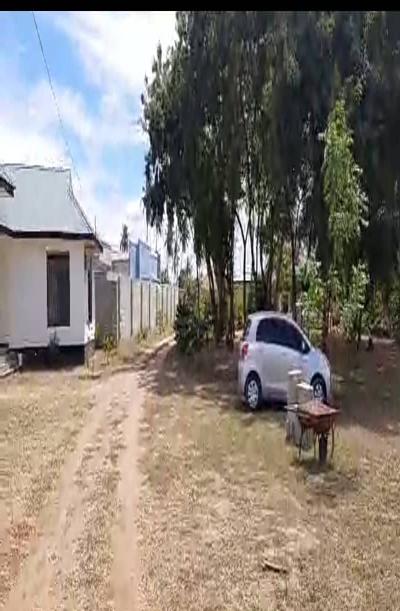 Intercity Property Hub: Shadad Hamis