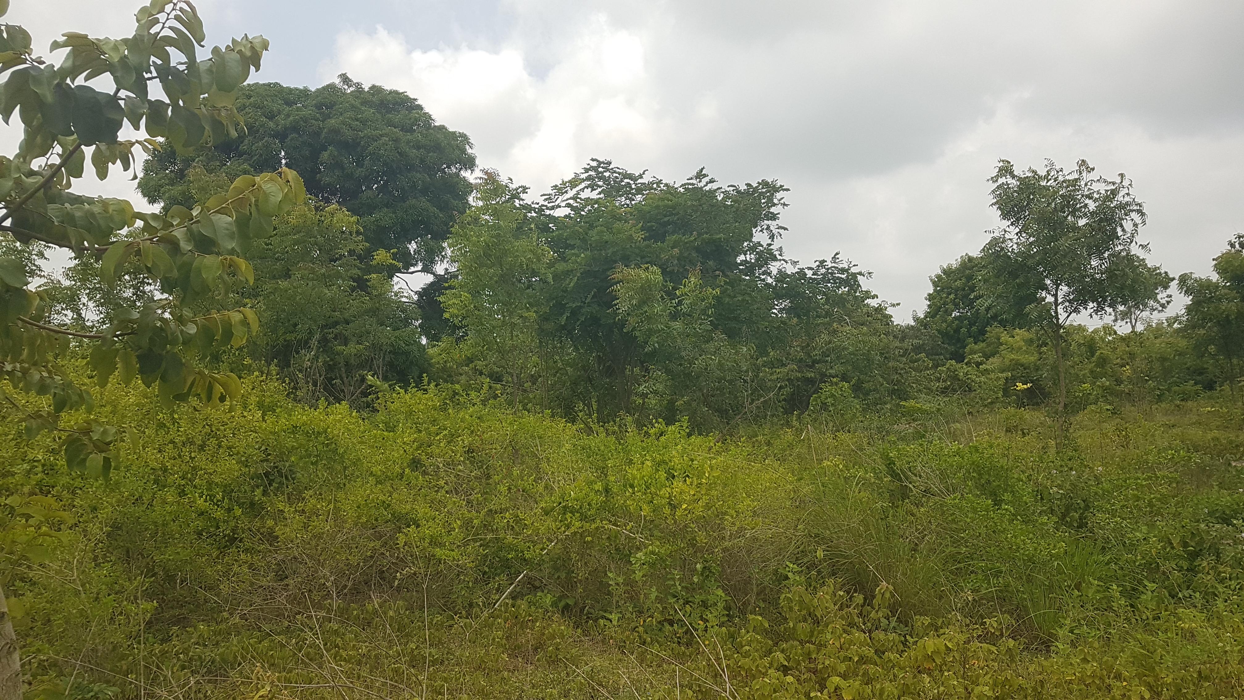 IPH: A Plot for Sale, Vikawe Kibaha, Pwani.