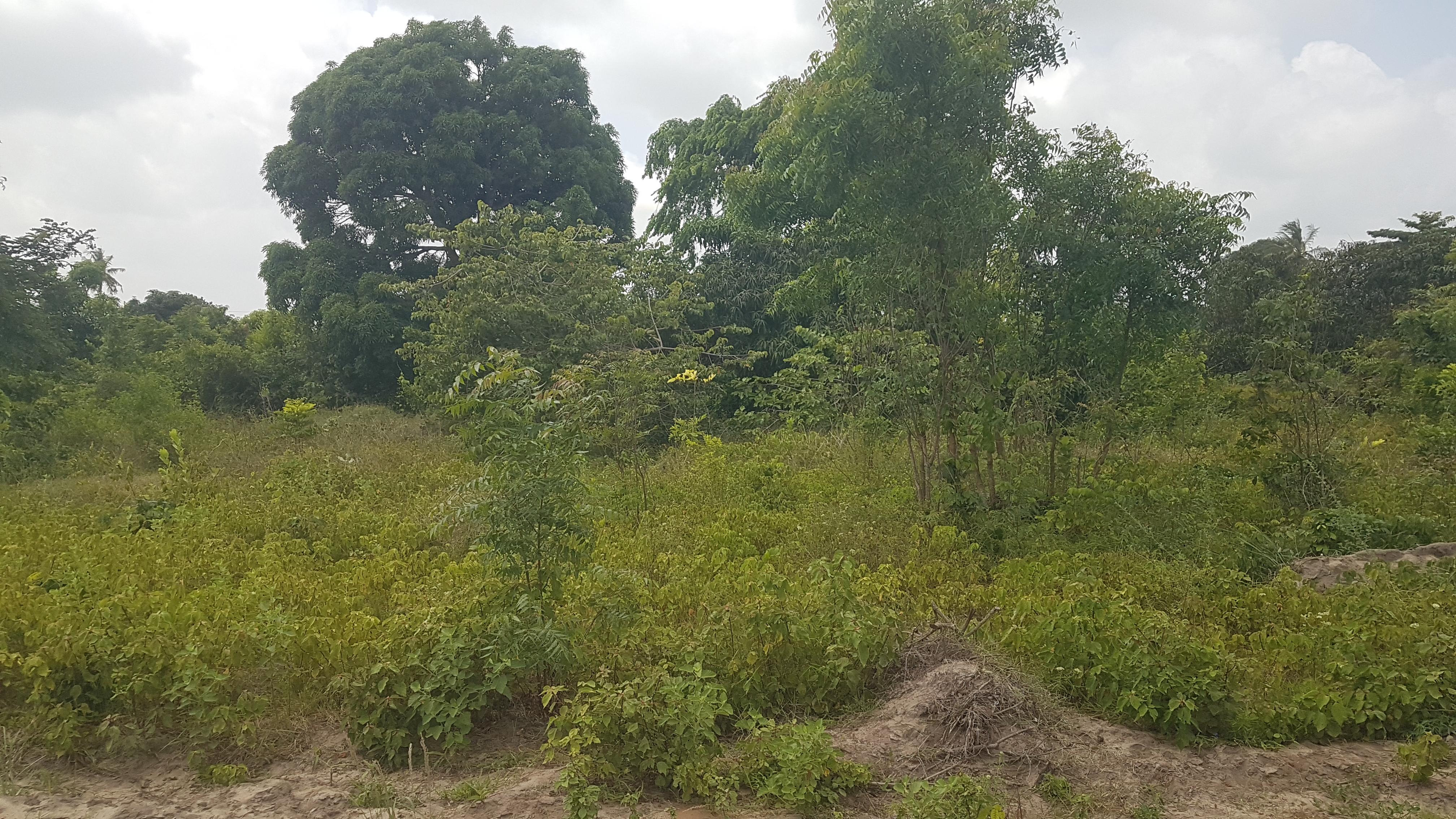 IPH: A Plot for Sale, Vikawe Kibaha, Pwani.