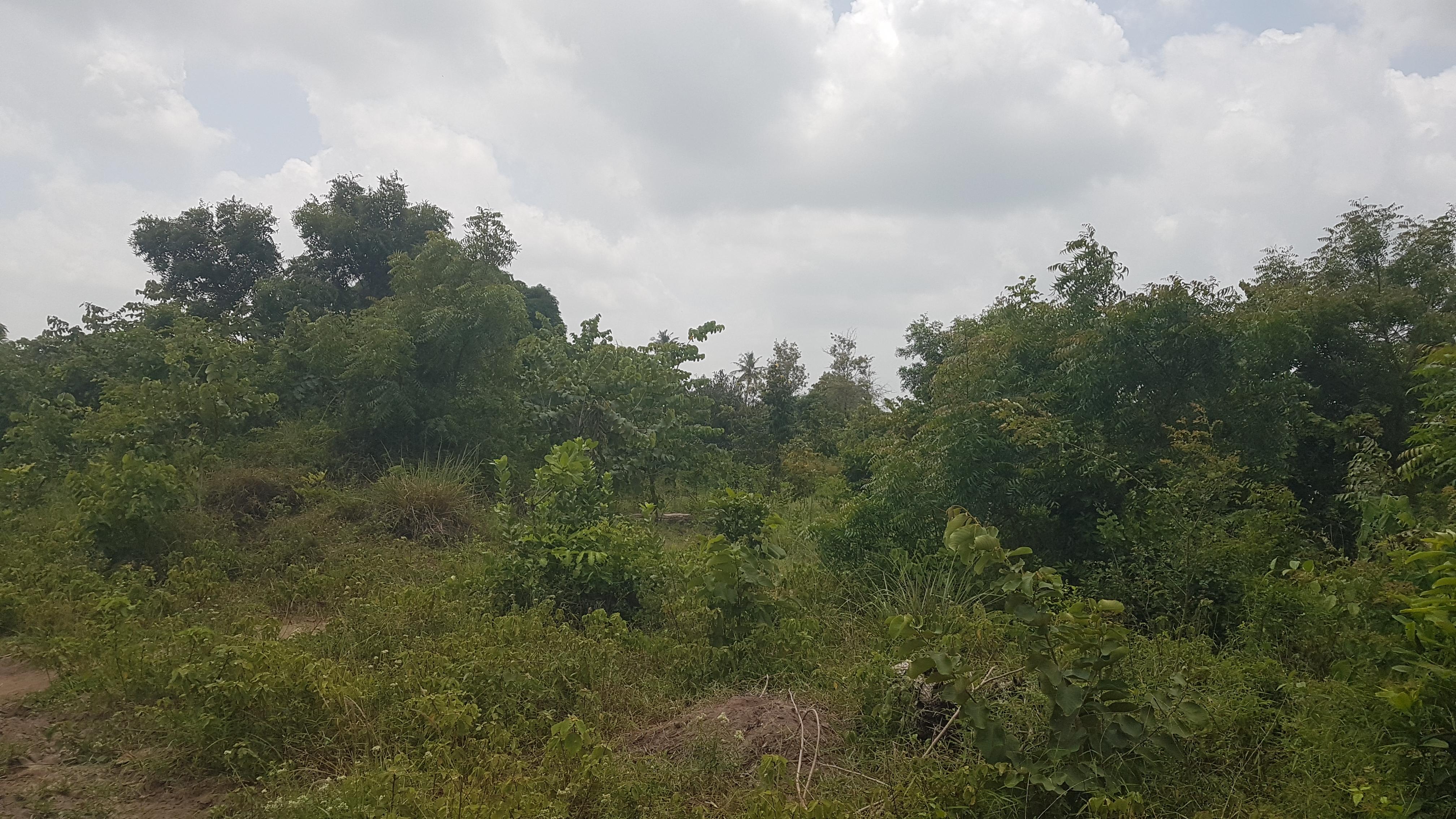 IPH: A Plot for Sale, Vikawe Kibaha, Pwani.