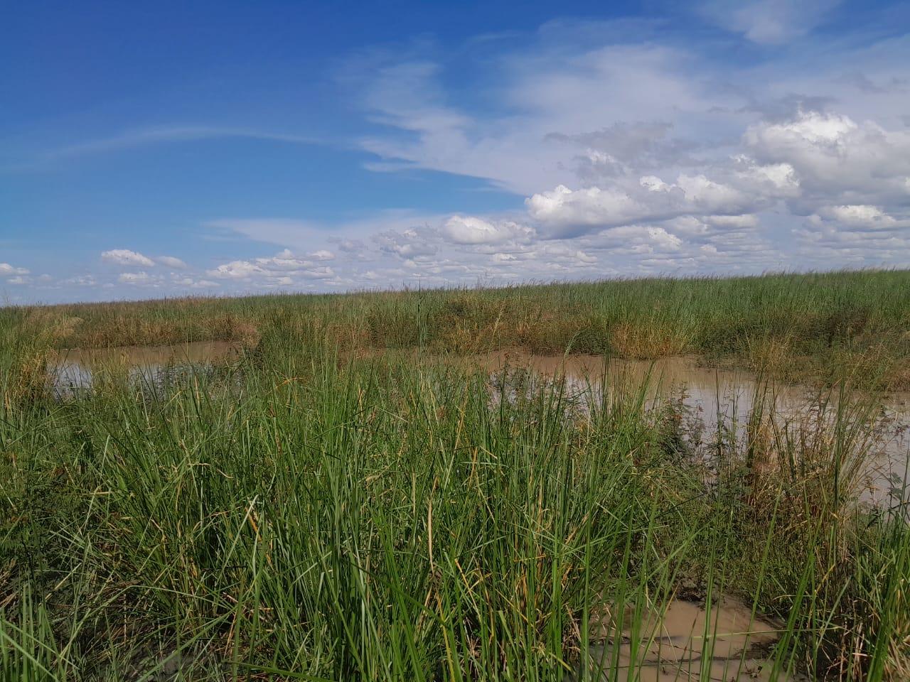 IPH; A 2404.10 Ha Farm For Sale, Kilombero DC, Morogoro.