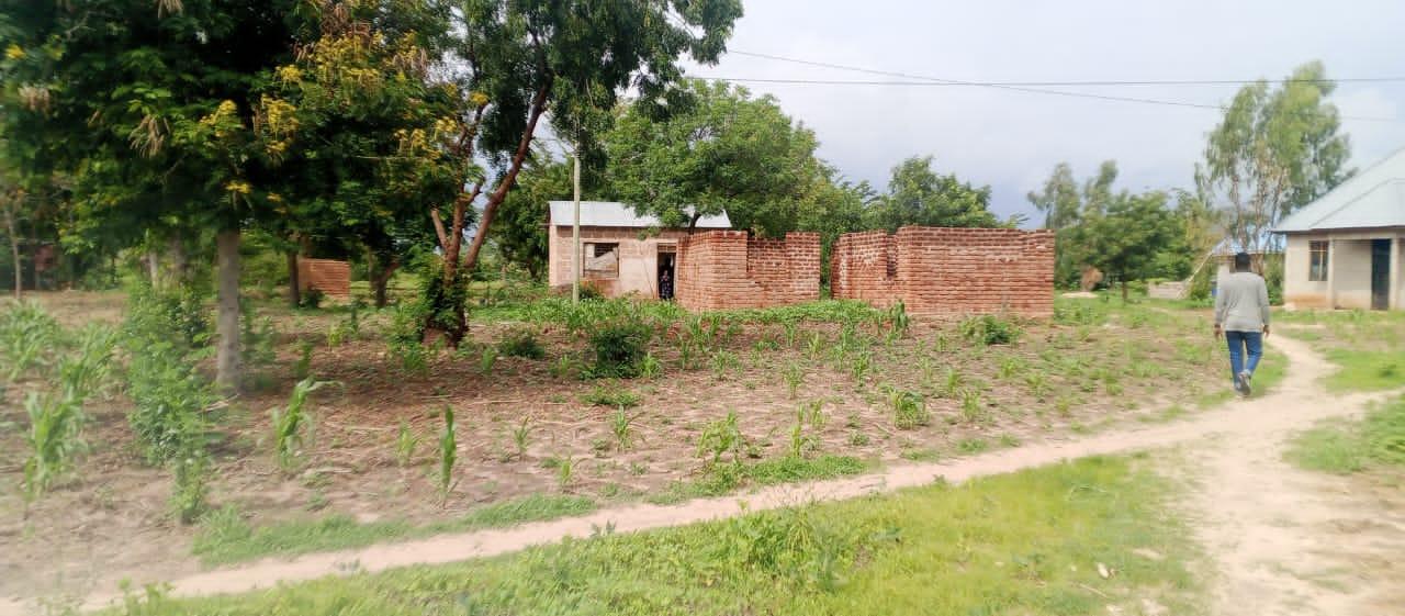 IPH: A 100 Farm for Sale, Chalinze Nyama, Chamwino DC, Dodoma Region.