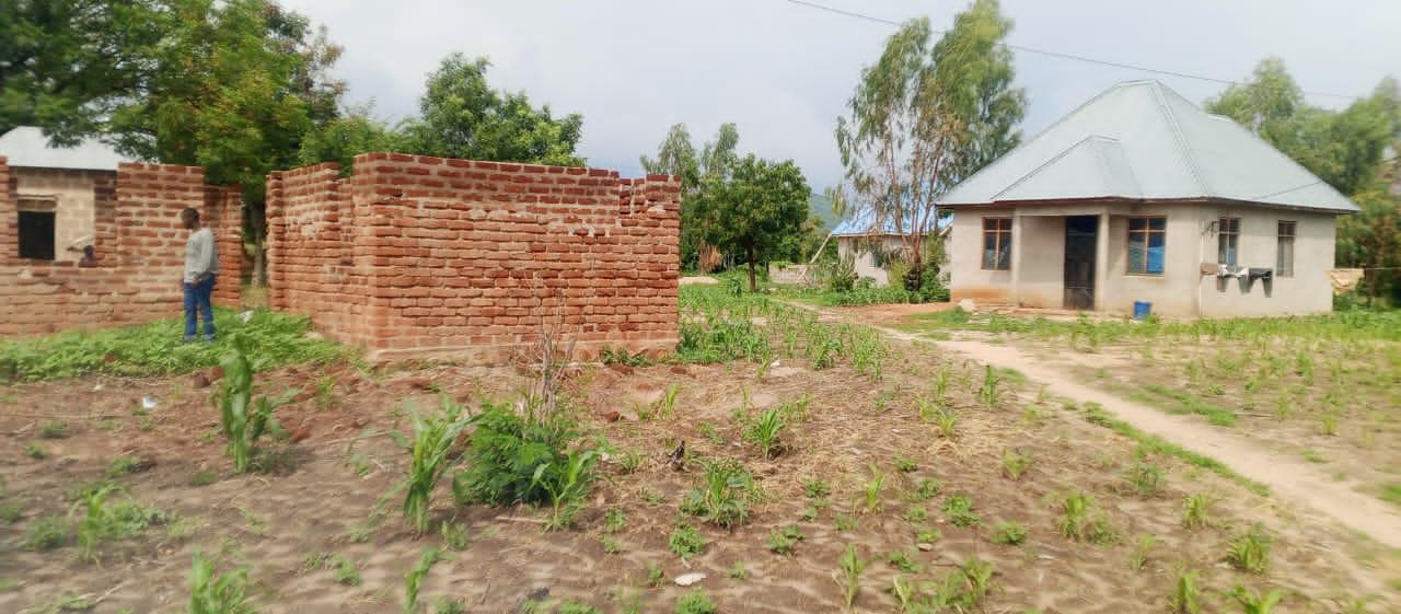 IPH: A 100 Farm for Sale, Chalinze Nyama, Chamwino DC, Dodoma Region.