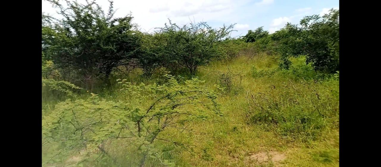 IPH: A 10-Acre Farm, Makutupora, Dodoma Region.