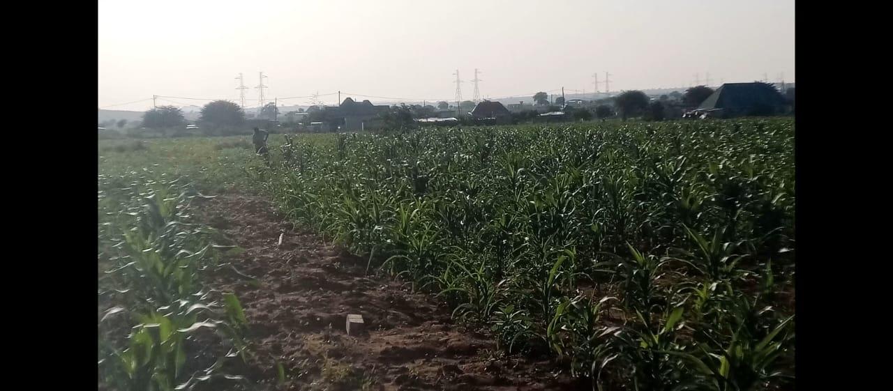 IPH, A 900 square metres for sale, Zuzu Area, Dodoma Region.