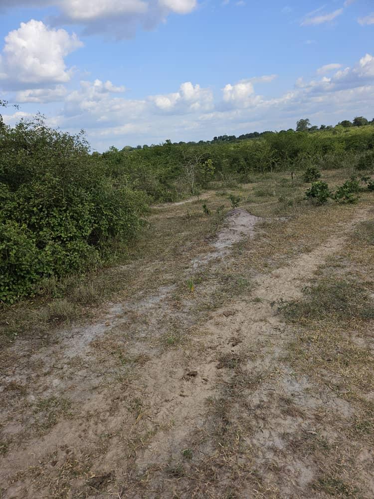 IPH: A 100-Acre Farm for Sale, Kiwangwa Village, Bagamoyo DC, Coast Region.