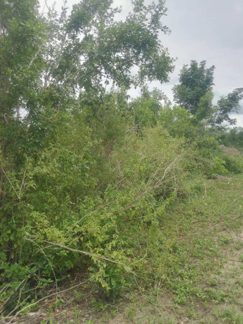 IPH:  A 40-acre Farm for Sale, Kiwangwa Village, Bagamoyo DC, Coast Region.