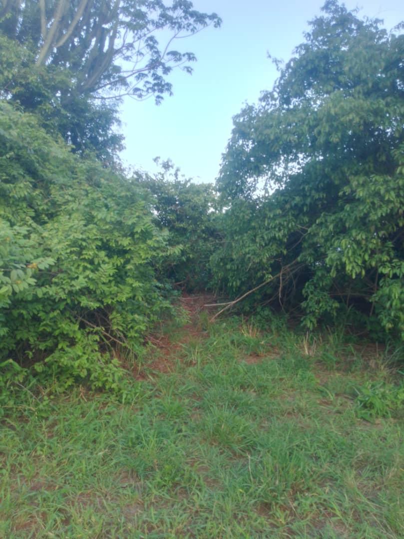 IPH: A 400-Acre Farm for Sale, Kiwangwa Village, Bagamoyo DC, Coastal Region.