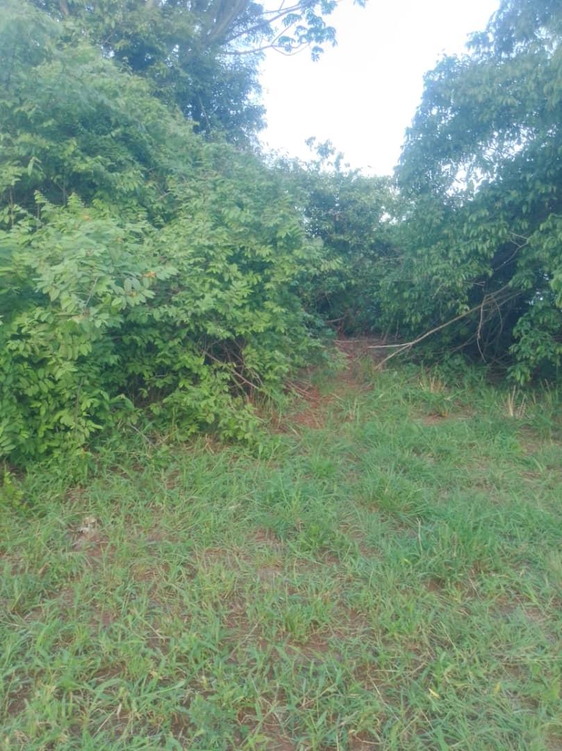 IPH: A 400-Acre Farm for Sale, Kiwangwa Village, Bagamoyo DC, Coastal Region.