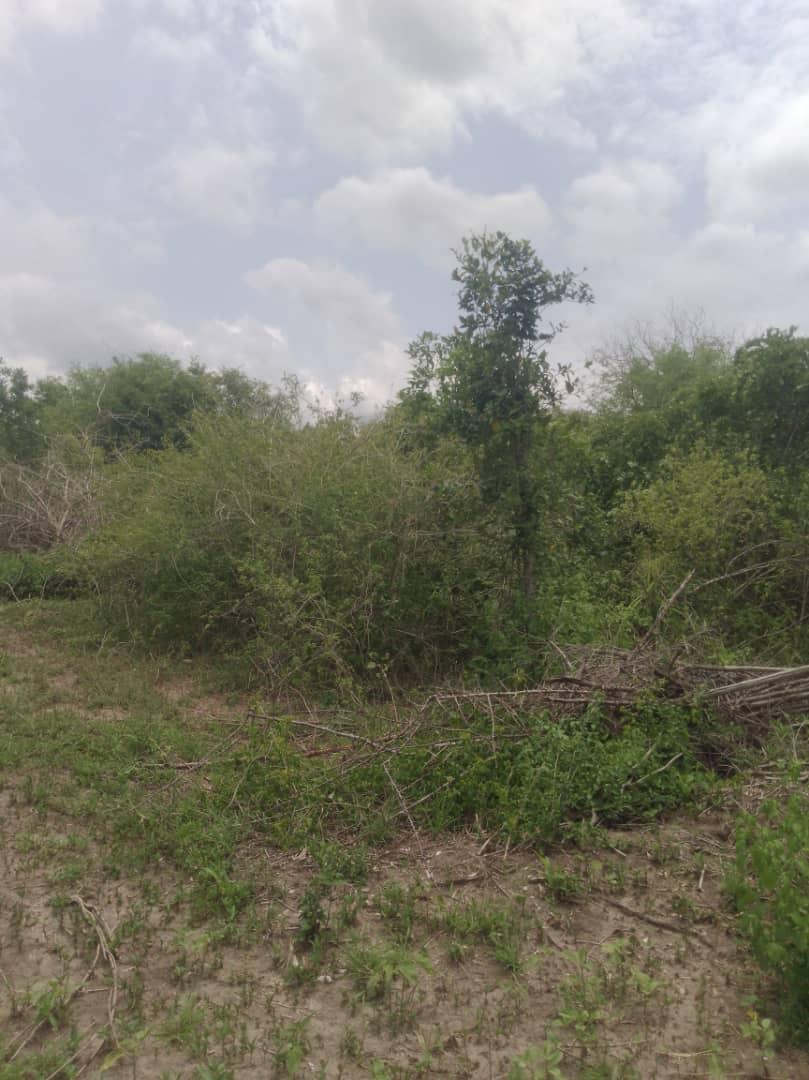 IPH,A 70 Acres Farm for Sale, Kiwangwa Village, Bagamoyo Pwani.