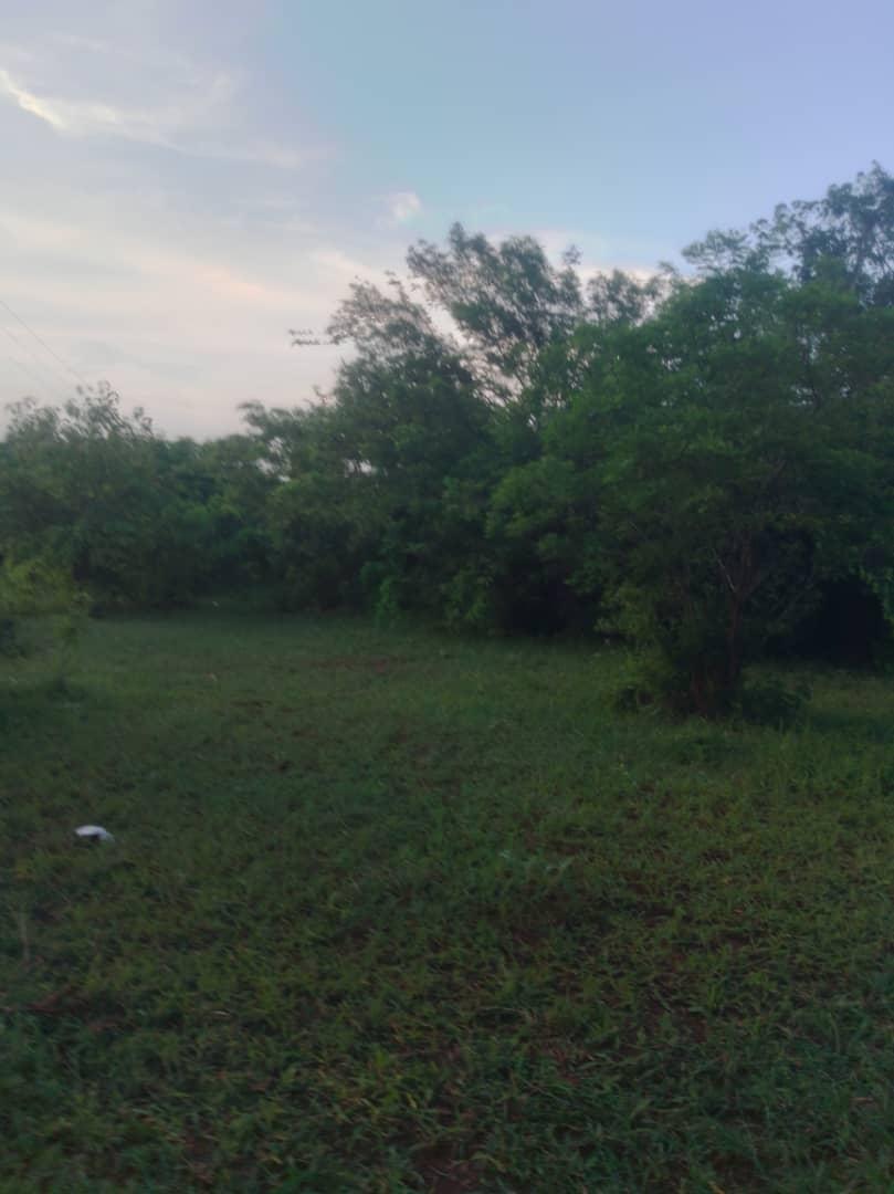 IPH, A 100 Acres Farm For Sale, Kiwangwa Village, Bagamoyo Pwani Region.