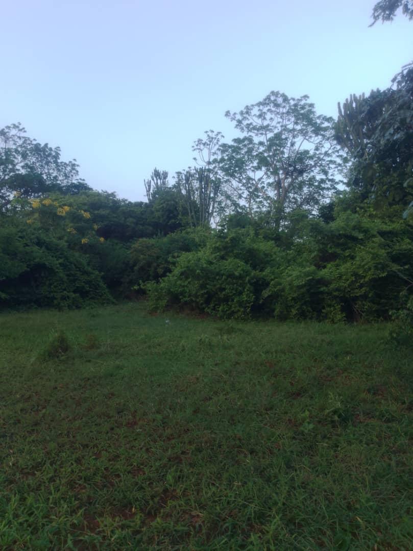 IPH, A 100 Acres Farm For Sale, Kiwangwa Village, Bagamoyo Pwani Region.
