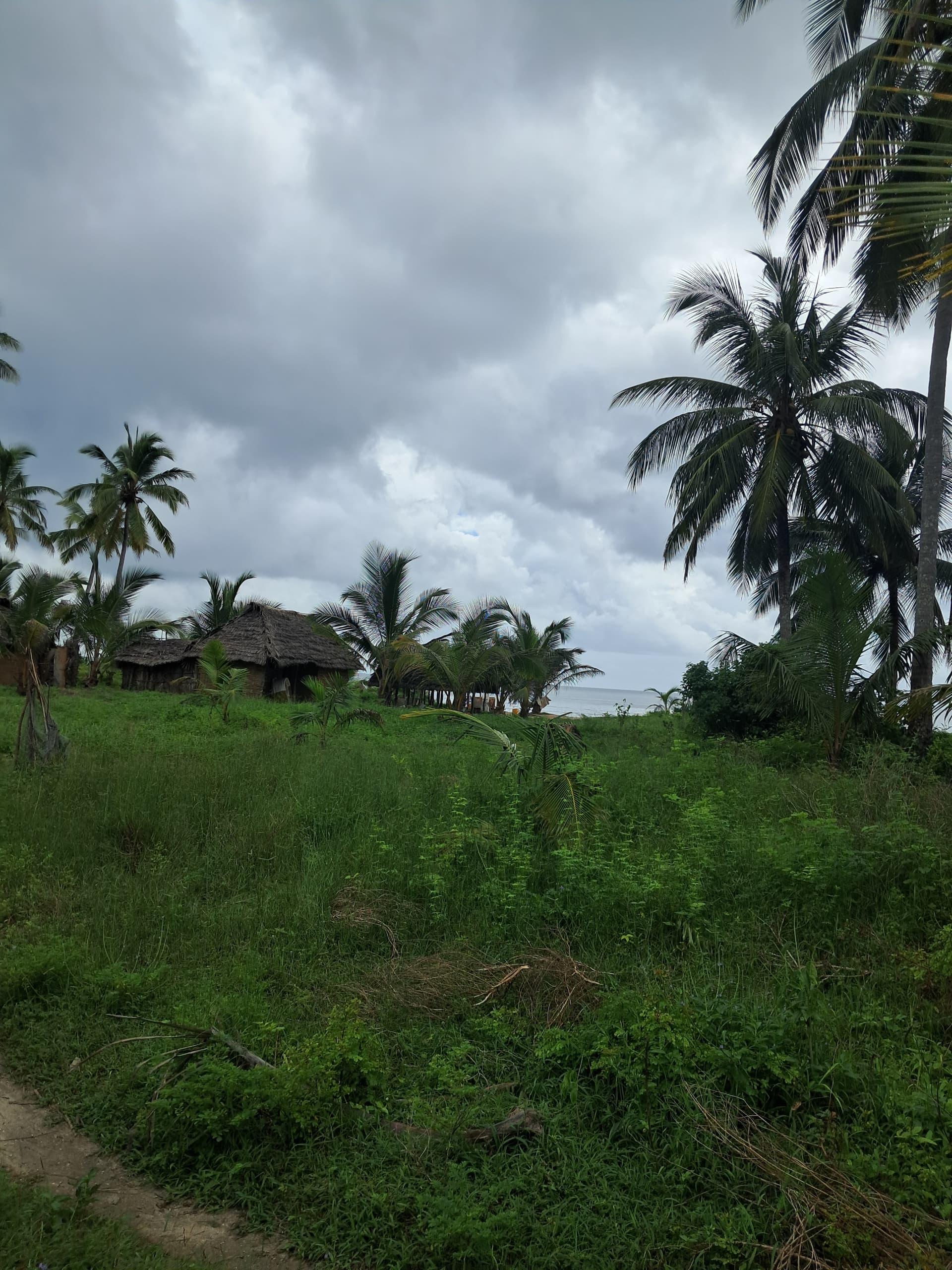 IPH, Beachfront Land fo sale, Jojo Beach, Mafia Island Coastal Region.