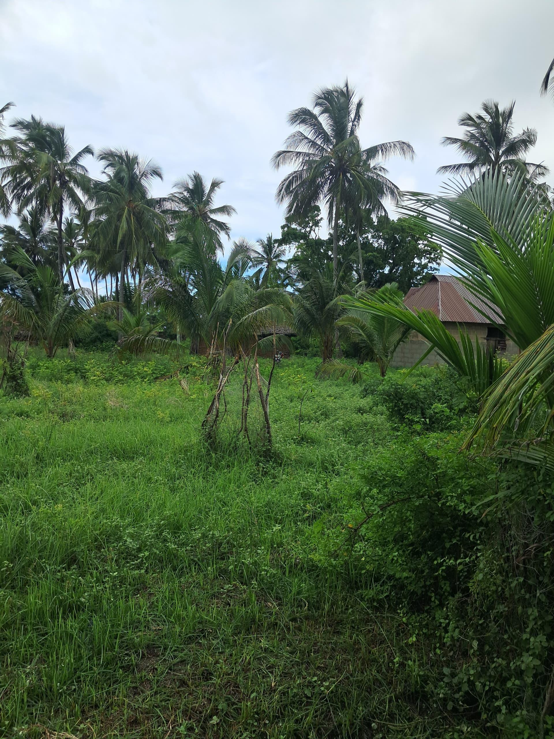 IPH, Beachfront Land fo sale, Jojo Beach, Mafia Island Coastal Region.