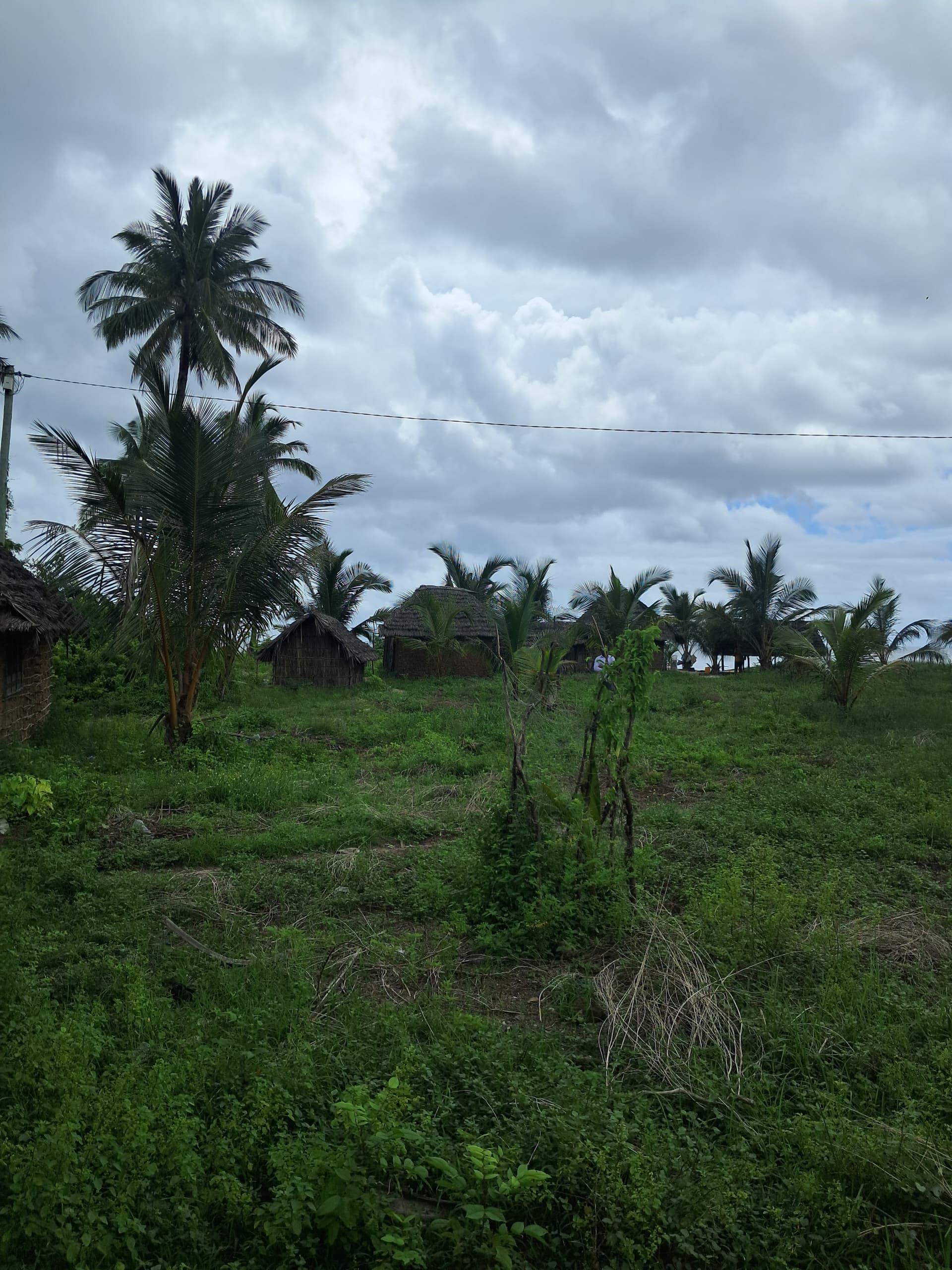 IPH, Beachfront Land fo sale, Jojo Beach, Mafia Island Coastal Region.