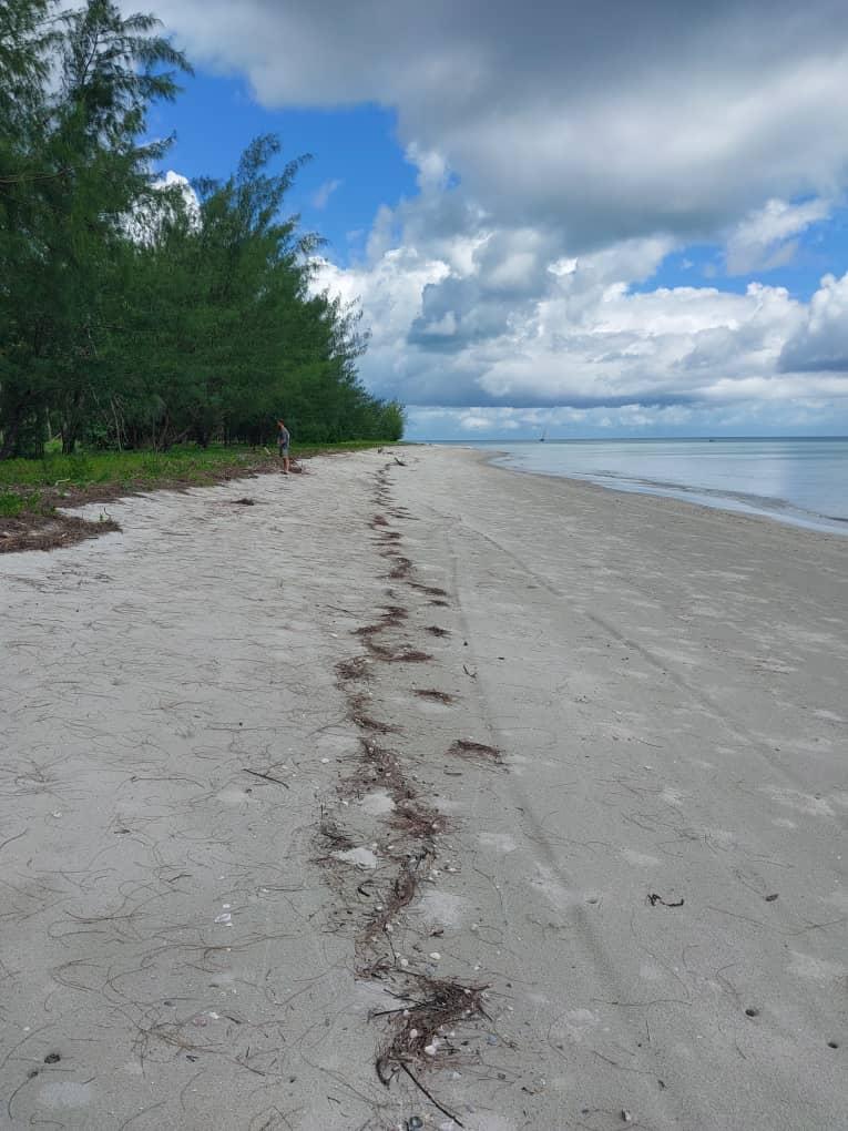 IPH, Beachfront Land for sale, Banja Beach, Mafia Island Coastal Region.