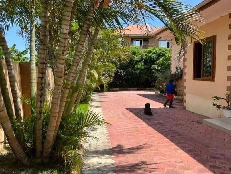 Intercity Property Hub; Mwakabilile, Real Estate Developer-3